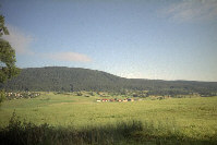 foret252.jpg (8464 octets)