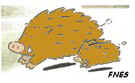 logo_fnes_coul.jpg (2460 octets)